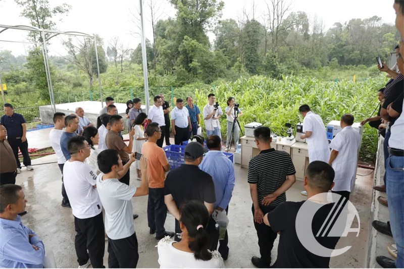 1277�Ǽʵ���(�й���)�ٷ���Ϸ��ַ