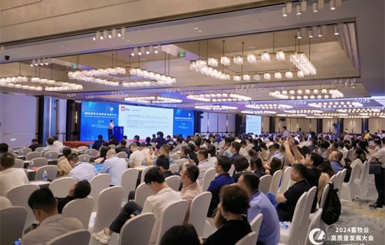 1277�Ǽʵ���(�й���)�ٷ���Ϸ��ַ