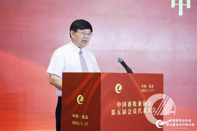 1277�Ǽʵ���(�й���)�ٷ���Ϸ��ַ