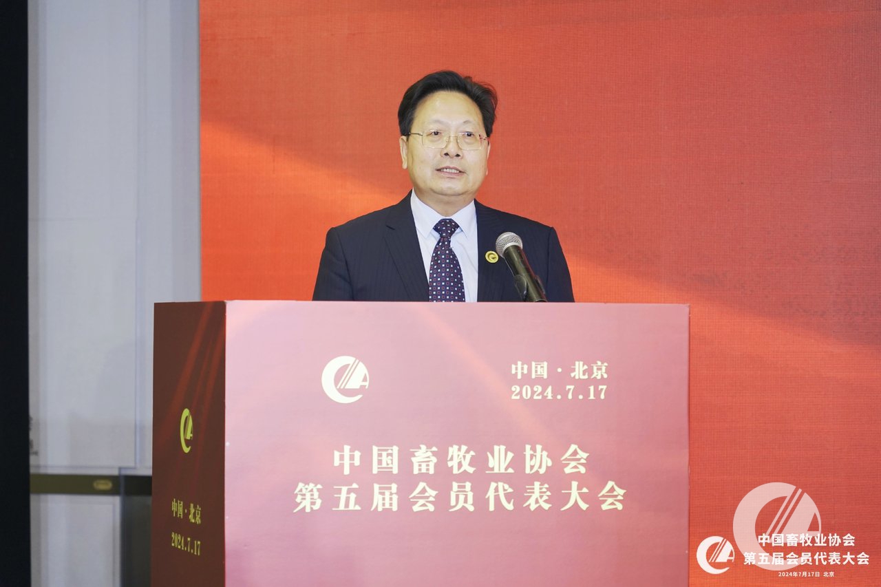 1277�Ǽʵ���(�й���)�ٷ���Ϸ��ַ