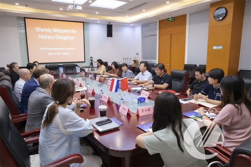 1277�Ǽʵ���(�й���)�ٷ���Ϸ��ַ