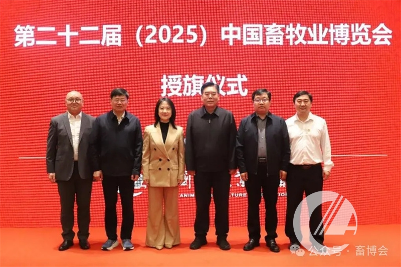 1277�Ǽʵ���(�й���)�ٷ���Ϸ��ַ