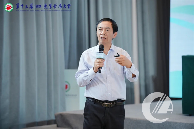 1277�Ǽʵ���(�й���)�ٷ���Ϸ��ַ