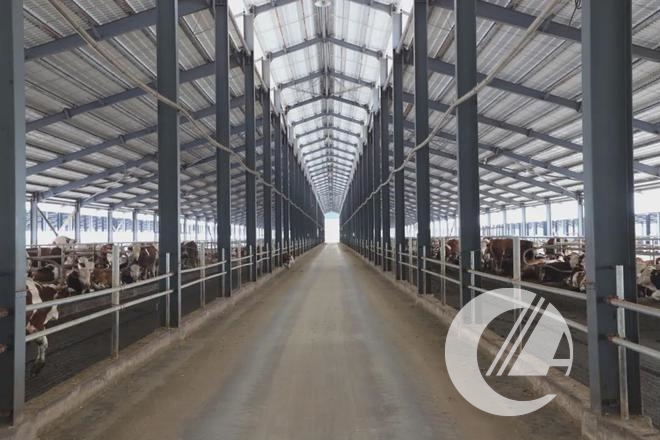 1277�Ǽʵ���(�й���)�ٷ���Ϸ��ַ