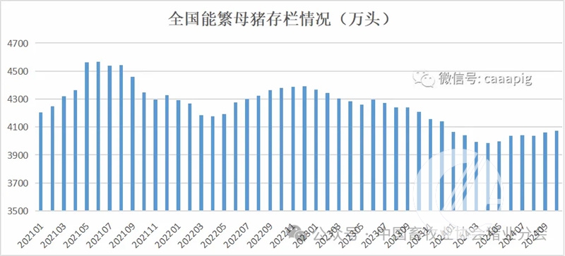 1277�Ǽʵ���(�й���)�ٷ���Ϸ��ַ