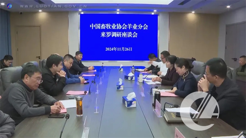 1277�Ǽʵ���(�й���)�ٷ���Ϸ��ַ