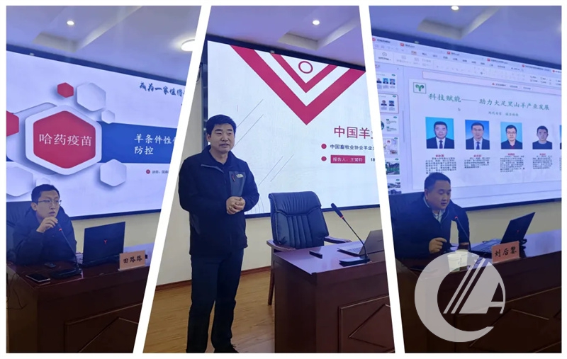 1277�Ǽʵ���(�й���)�ٷ���Ϸ��ַ