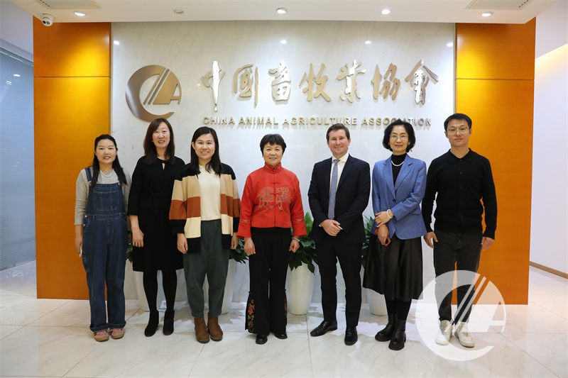 1277�Ǽʵ���(�й���)�ٷ���Ϸ��ַ