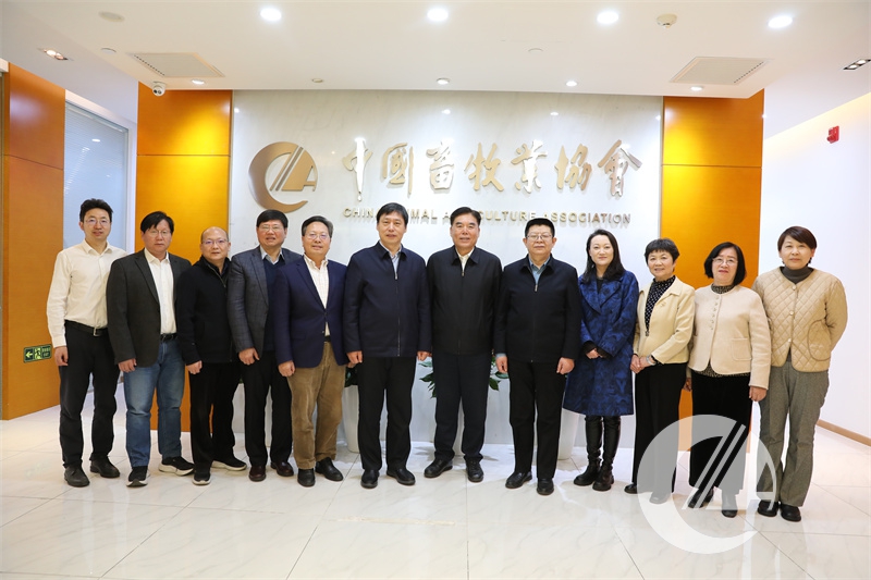 1277�Ǽʵ���(�й���)�ٷ���Ϸ��ַ