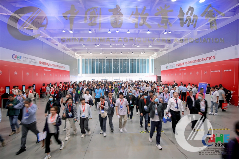 1277�Ǽʵ���(�й���)�ٷ���Ϸ��ַ