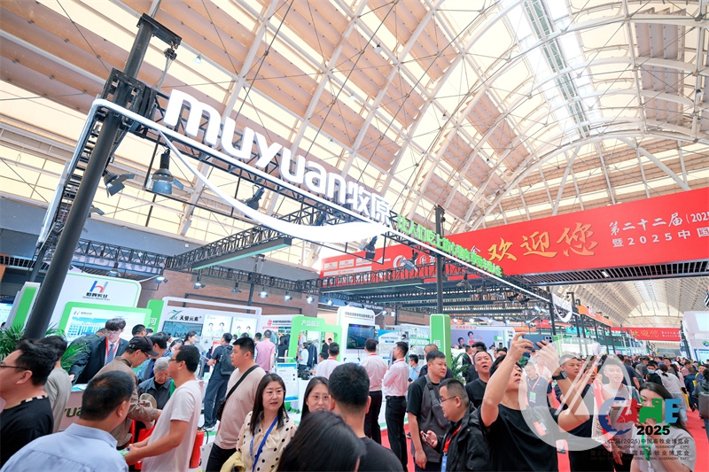 1277�Ǽʵ���(�й���)�ٷ���Ϸ��ַ