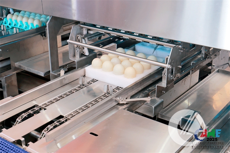 1277�Ǽʵ���(�й���)�ٷ���Ϸ��ַ