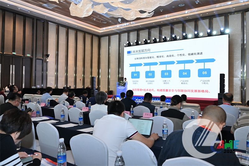 1277�Ǽʵ���(�й���)�ٷ���Ϸ��ַ