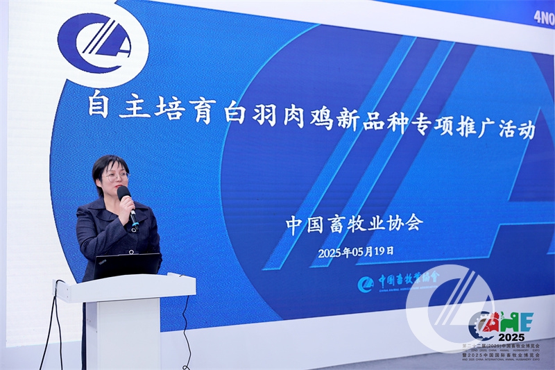 1277�Ǽʵ���(�й���)�ٷ���Ϸ��ַ