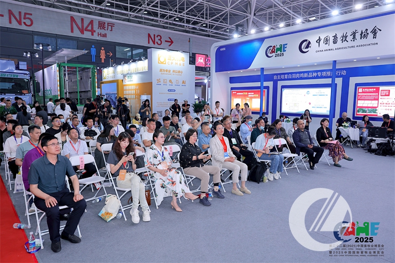 1277�Ǽʵ���(�й���)�ٷ���Ϸ��ַ