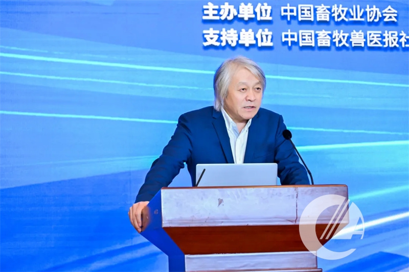 1277�Ǽʵ���(�й���)�ٷ���Ϸ��ַ