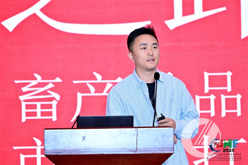 1277�Ǽʵ���(�й���)�ٷ���Ϸ��ַ