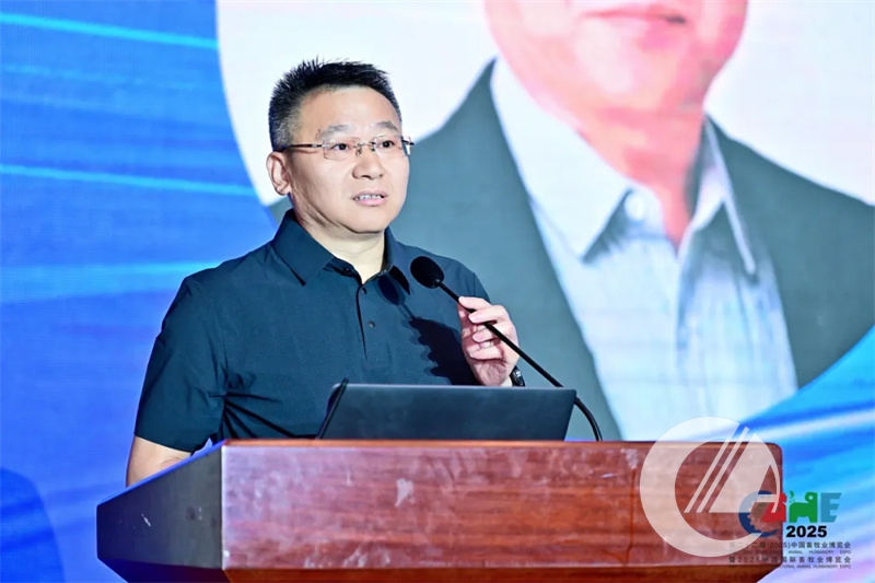 1277�Ǽʵ���(�й���)�ٷ���Ϸ��ַ