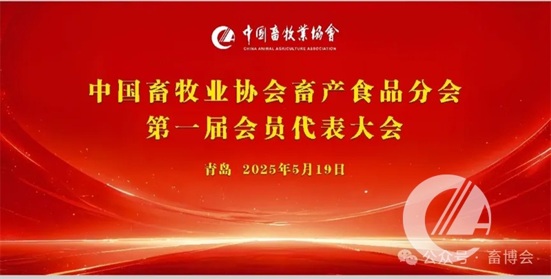 1277�Ǽʵ���(�й���)�ٷ���Ϸ��ַ