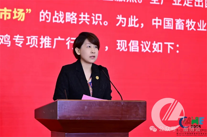 1277�Ǽʵ���(�й���)�ٷ���Ϸ��ַ