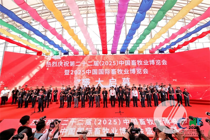 1277�Ǽʵ���(�й���)�ٷ���Ϸ��ַ