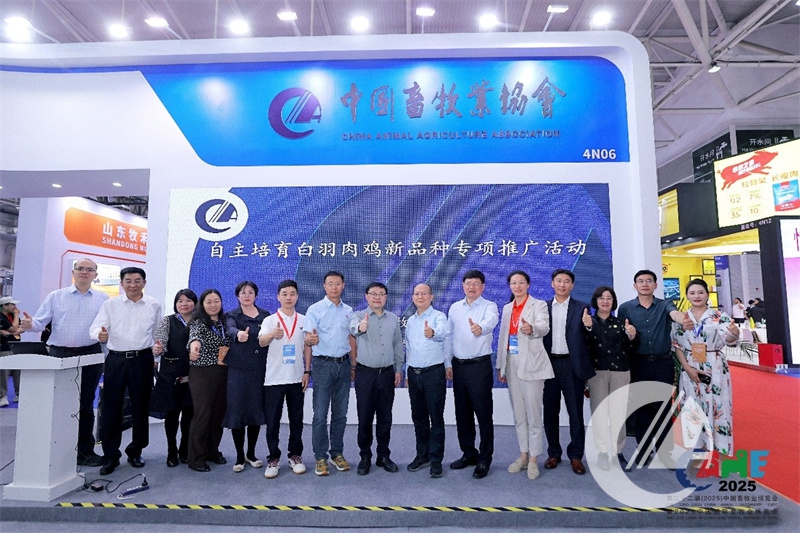 1277�Ǽʵ���(�й���)�ٷ���Ϸ��ַ