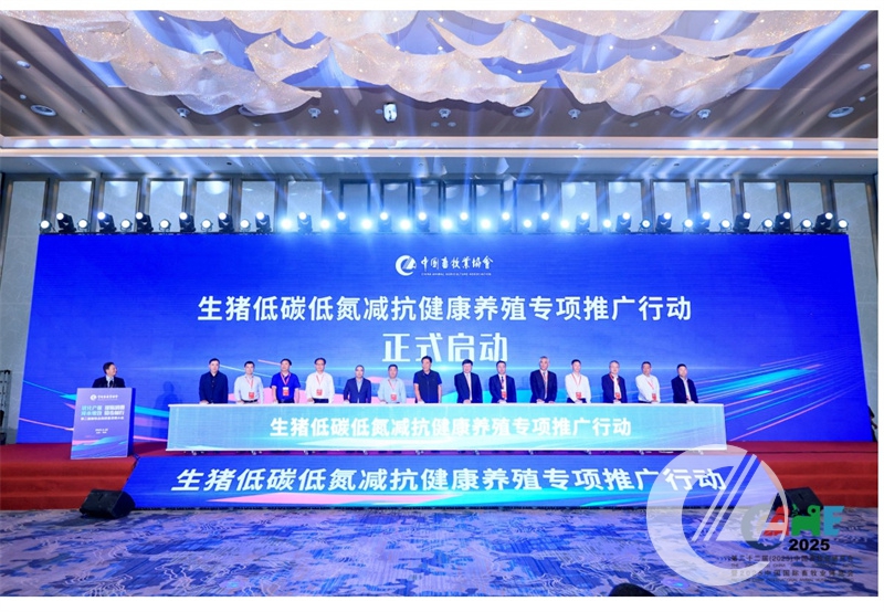 1277�Ǽʵ���(�й���)�ٷ���Ϸ��ַ