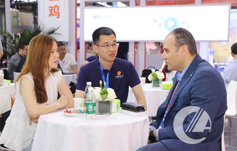 1277�Ǽʵ���(�й���)�ٷ���Ϸ��ַ