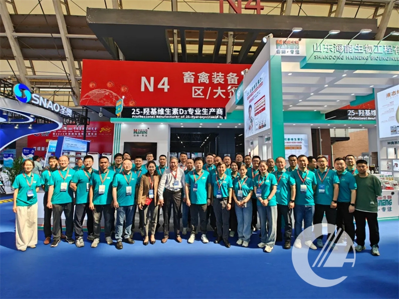 1277�Ǽʵ���(�й���)�ٷ���Ϸ��ַ