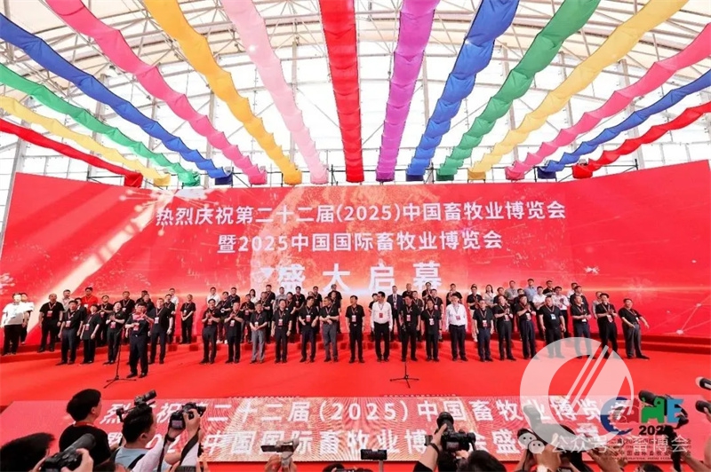 1277�Ǽʵ���(�й���)�ٷ���Ϸ��ַ