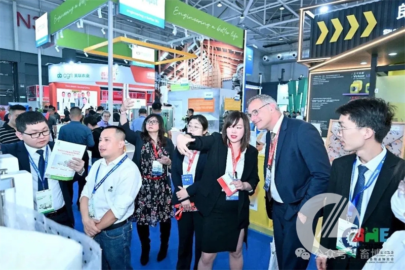 1277�Ǽʵ���(�й���)�ٷ���Ϸ��ַ