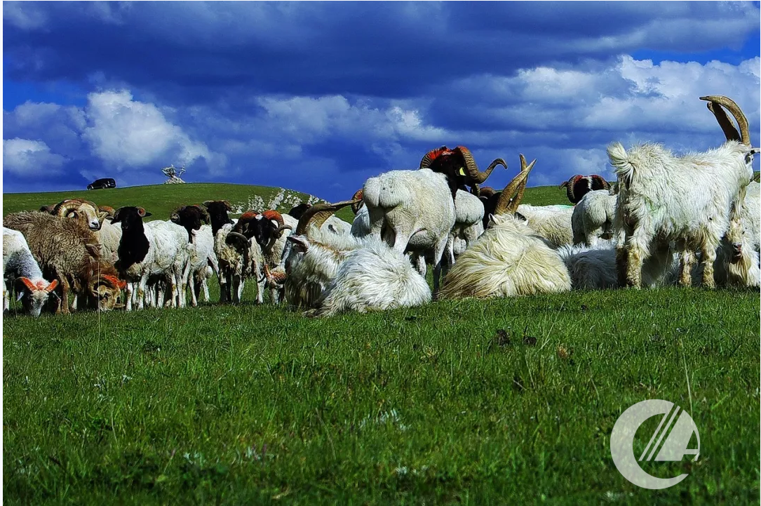 1277�Ǽʵ���(�й���)�ٷ���Ϸ��ַ