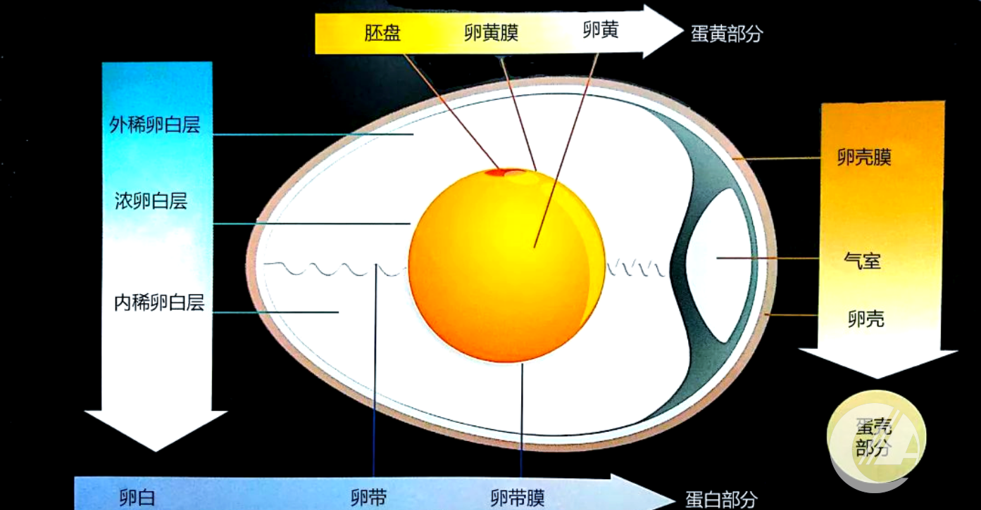 1277�Ǽʵ���(�й���)�ٷ���Ϸ��ַ