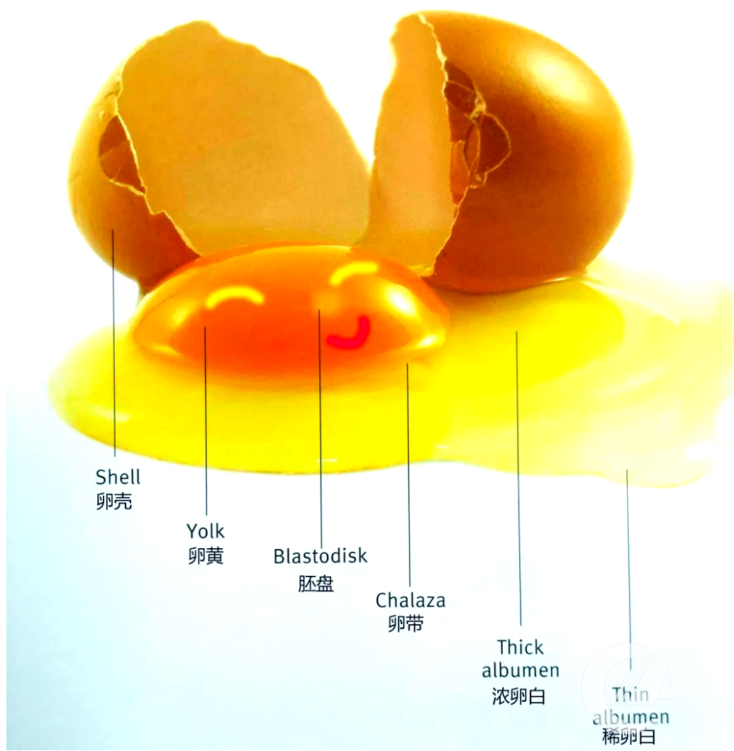 1277�Ǽʵ���(�й���)�ٷ���Ϸ��ַ