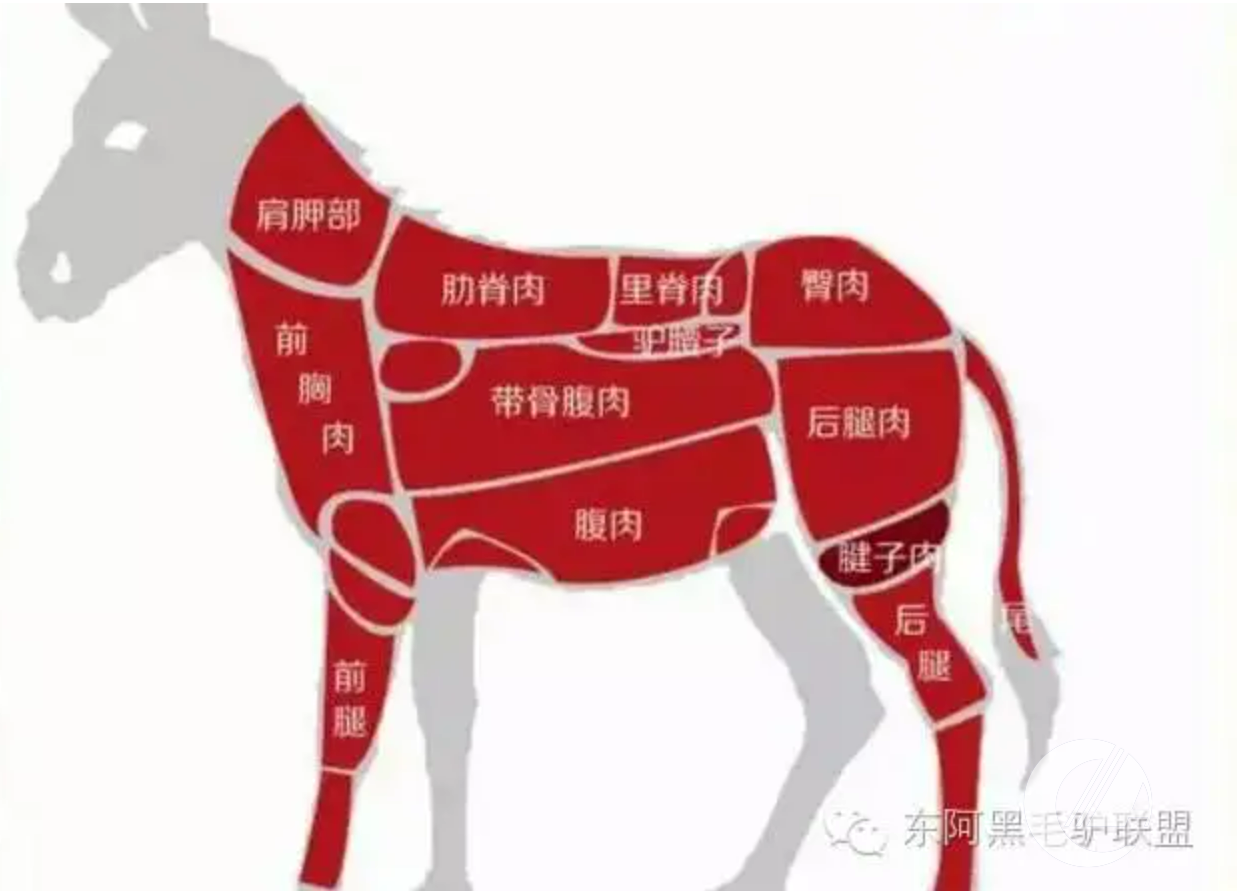 1277�Ǽʵ���(�й���)�ٷ���Ϸ��ַ