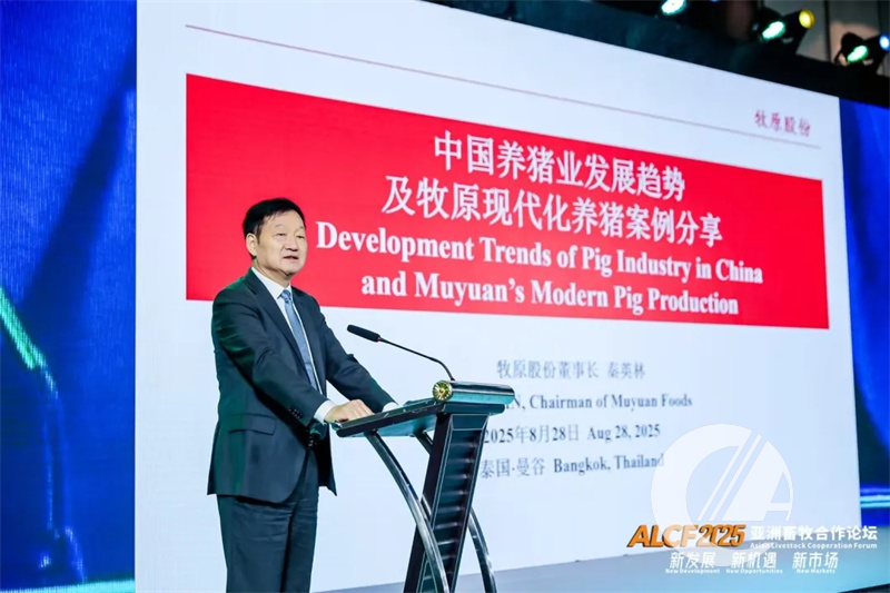 1277�Ǽʵ���(�й���)�ٷ���Ϸ��ַ