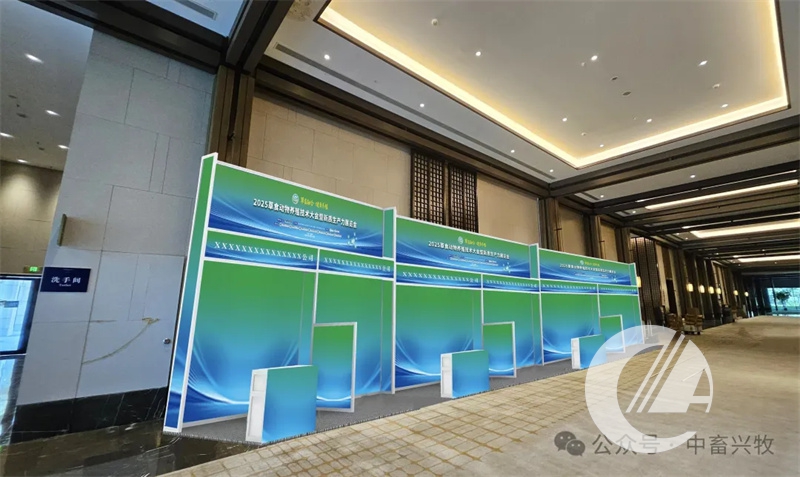 1277�Ǽʵ���(�й���)�ٷ���Ϸ��ַ