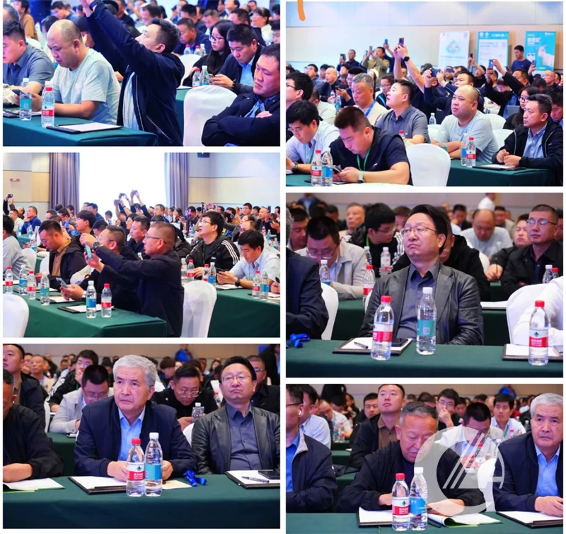 1277�Ǽʵ���(�й���)�ٷ���Ϸ��ַ