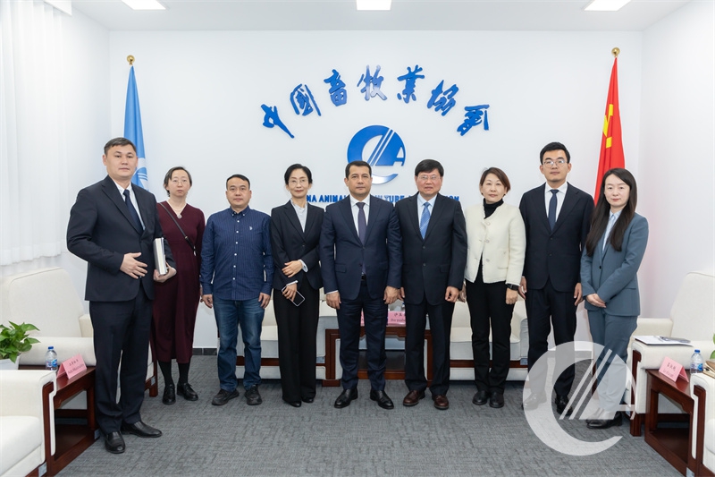 1277�Ǽʵ���(�й���)�ٷ���Ϸ��ַ