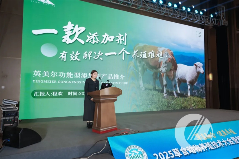 1277�Ǽʵ���(�й���)�ٷ���Ϸ��ַ