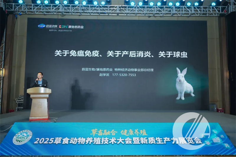 1277�Ǽʵ���(�й���)�ٷ���Ϸ��ַ