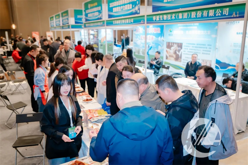 1277�Ǽʵ���(�й���)�ٷ���Ϸ��ַ