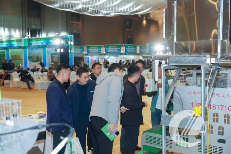 1277�Ǽʵ���(�й���)�ٷ���Ϸ��ַ