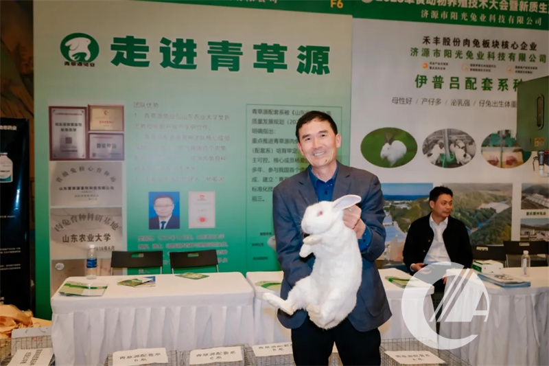 1277�Ǽʵ���(�й���)�ٷ���Ϸ��ַ