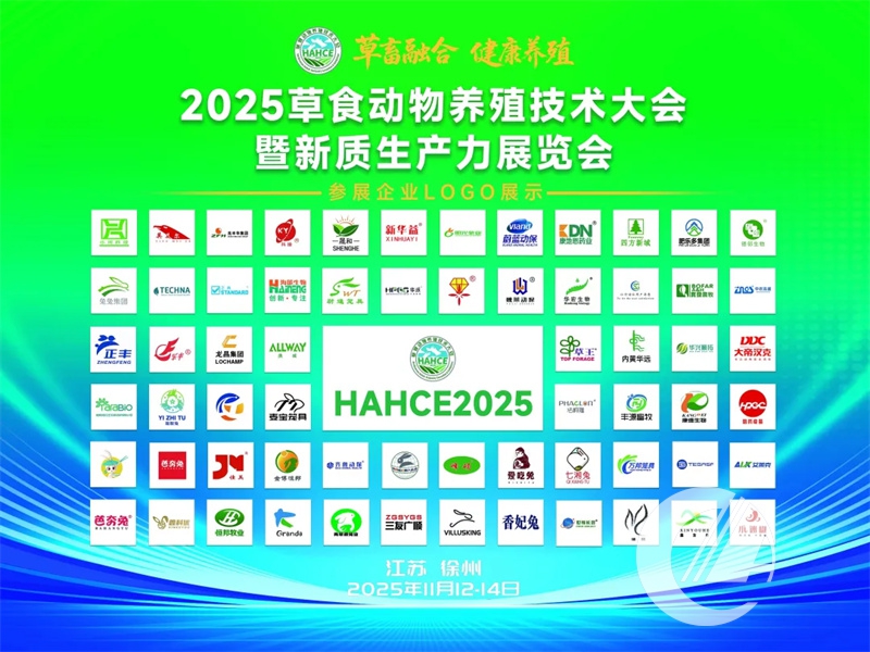 1277�Ǽʵ���(�й���)�ٷ���Ϸ��ַ