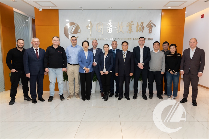 1277�Ǽʵ���(�й���)�ٷ���Ϸ��ַ