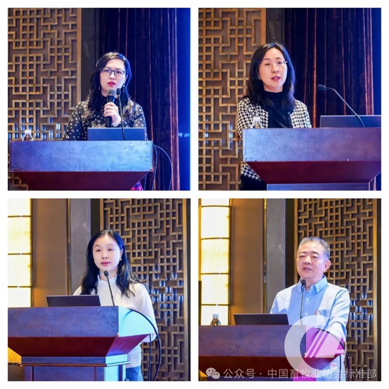 1277�Ǽʵ���(�й���)�ٷ���Ϸ��ַ