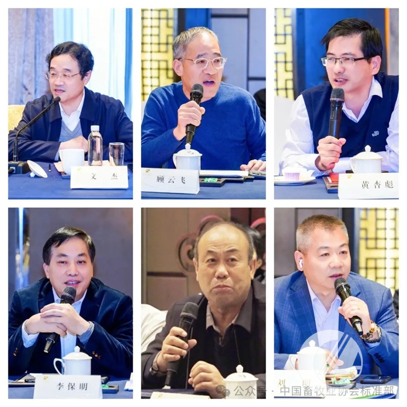 1277�Ǽʵ���(�й���)�ٷ���Ϸ��ַ