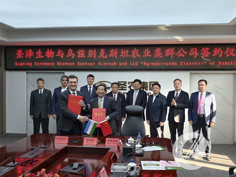 1277�Ǽʵ���(�й���)�ٷ���Ϸ��ַ