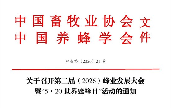 20260415034428558